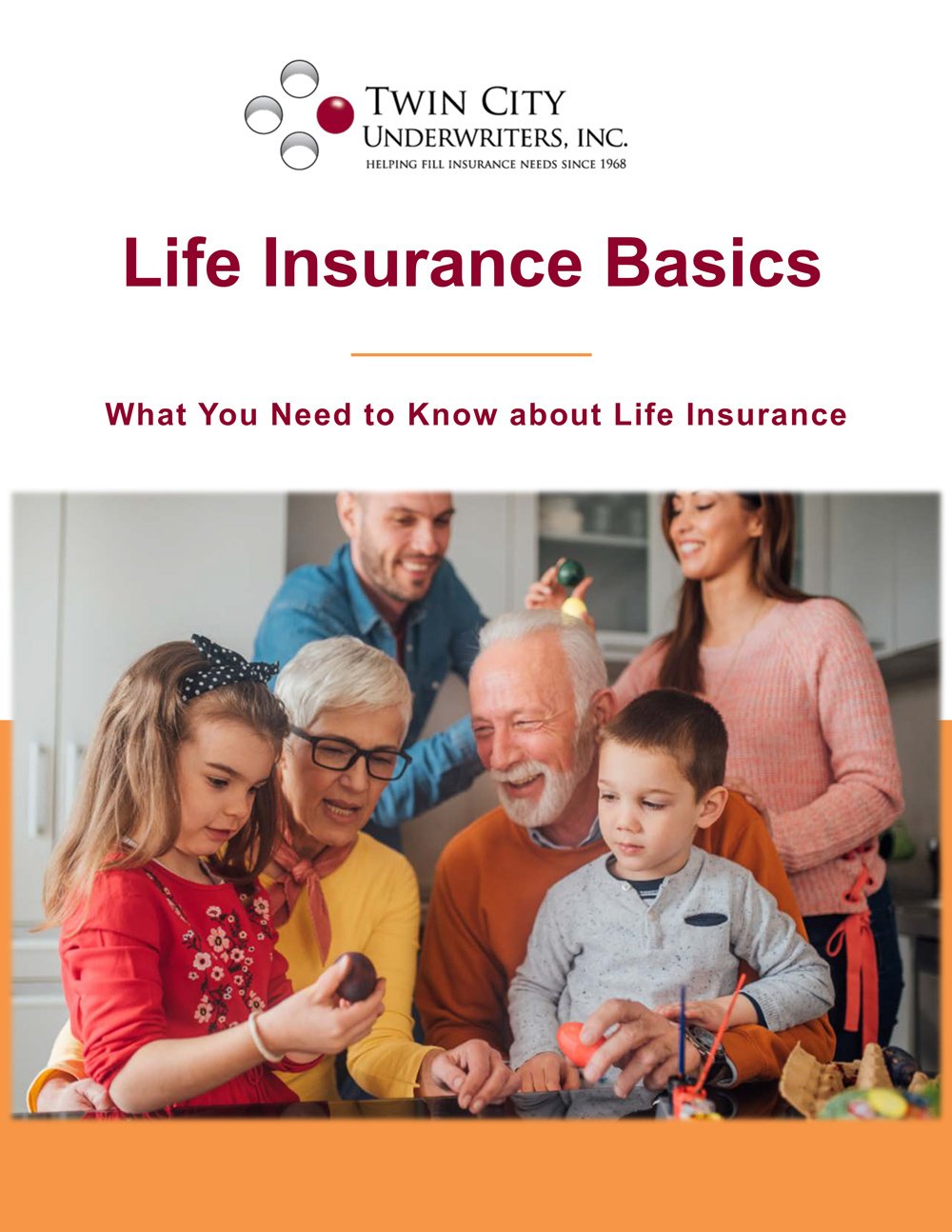 Life-Insurance-ebook-cover-1
